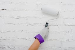 Feature Walls & Touch-Ups